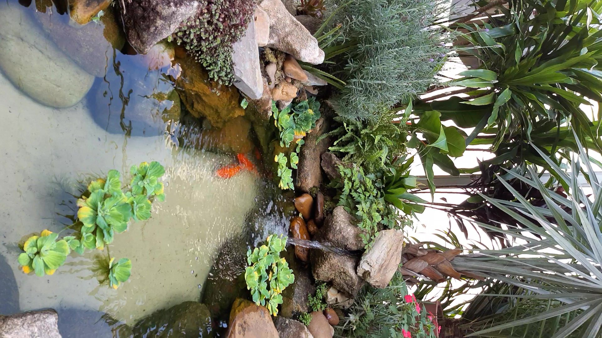FKA-10 instalado em lago ornamental