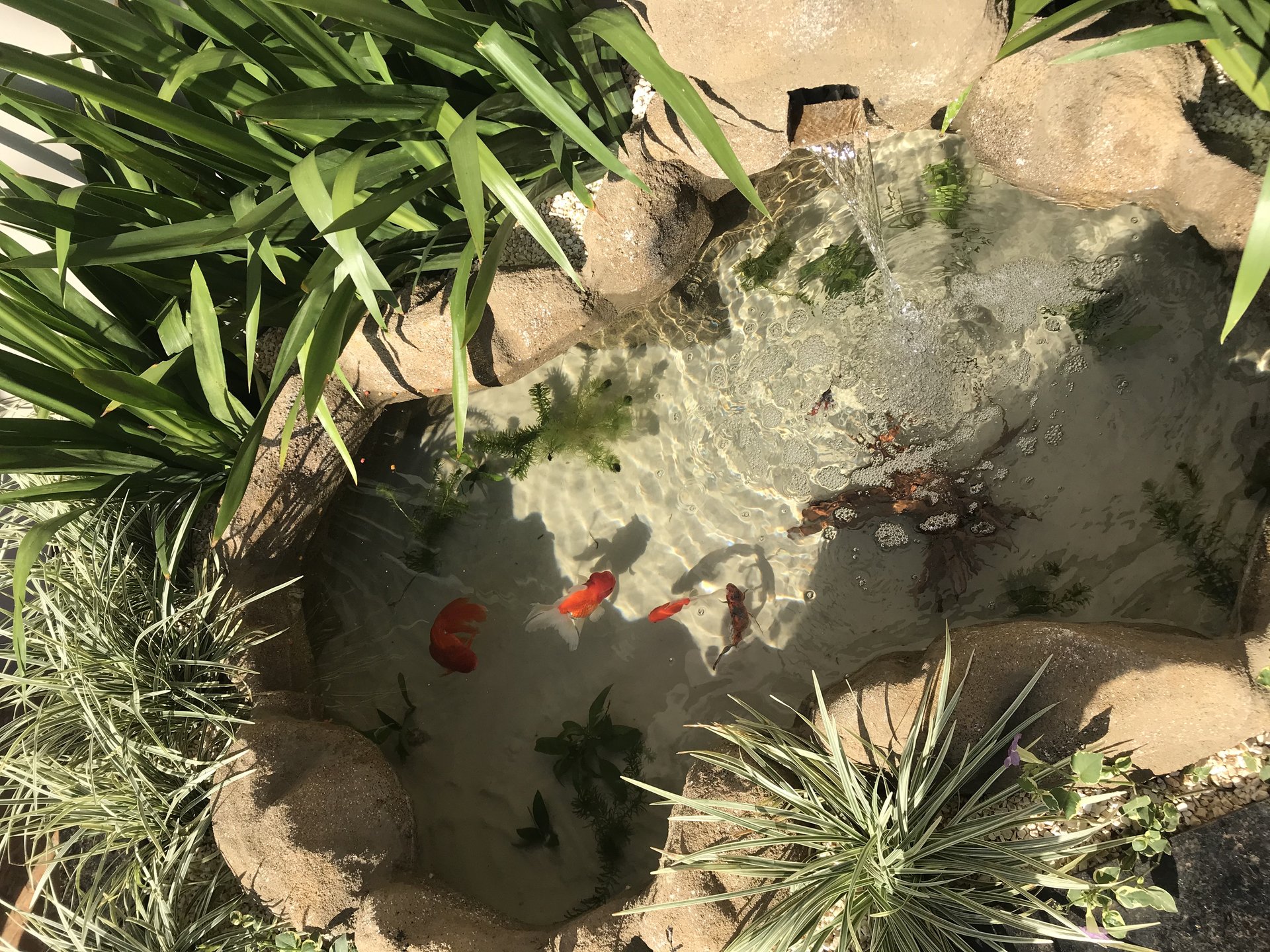 Lago Luz — foto principal