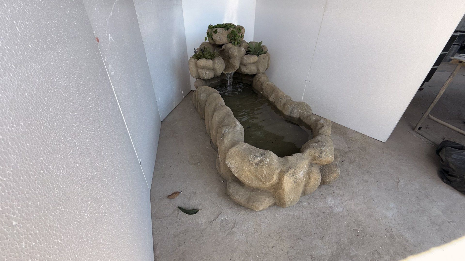 Lago Planície — detalhe