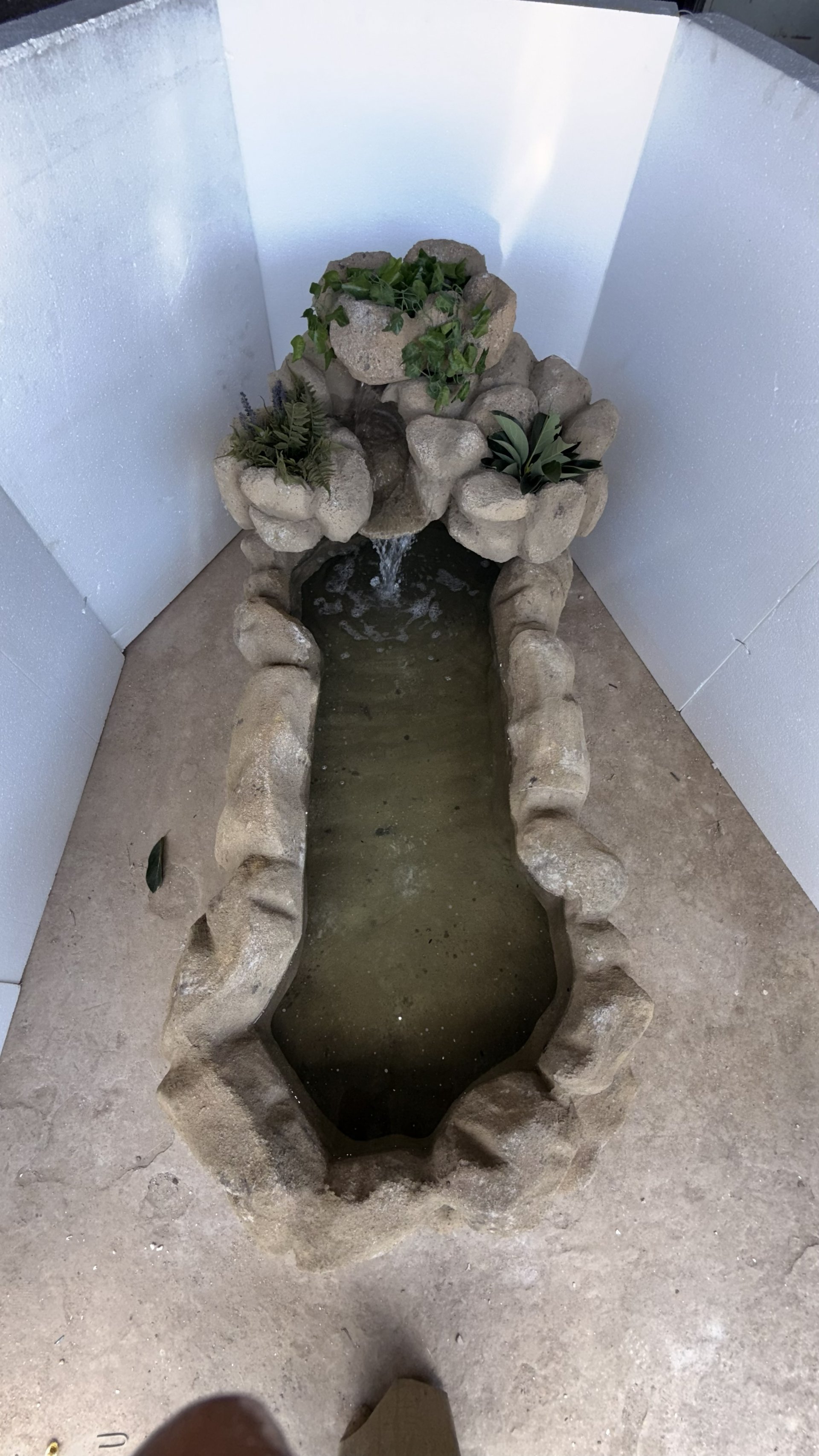 Lago Planície — detalhe