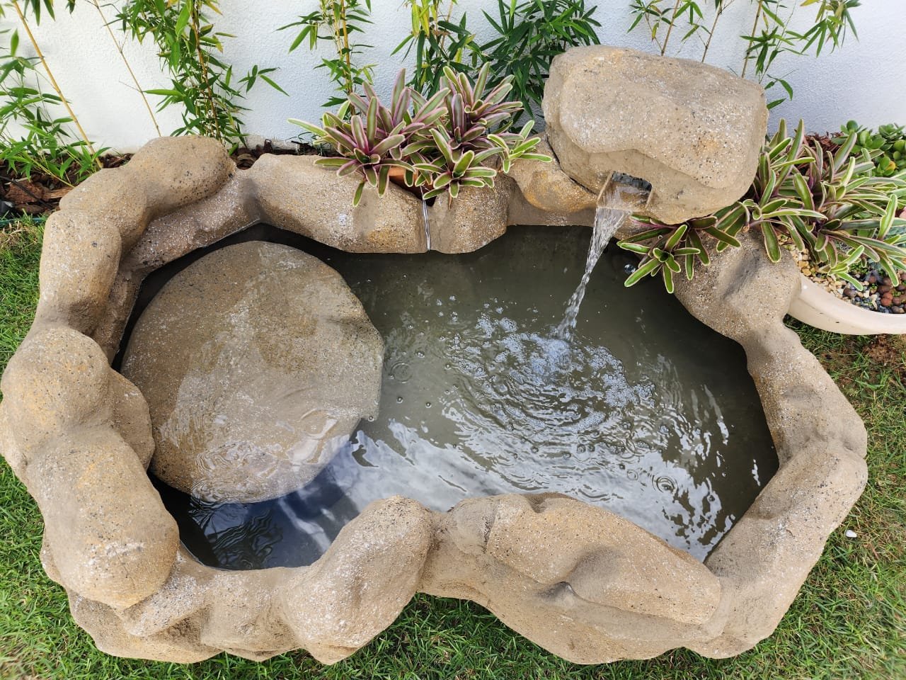 Lago Luz Especial para Tartarugas — foto principal