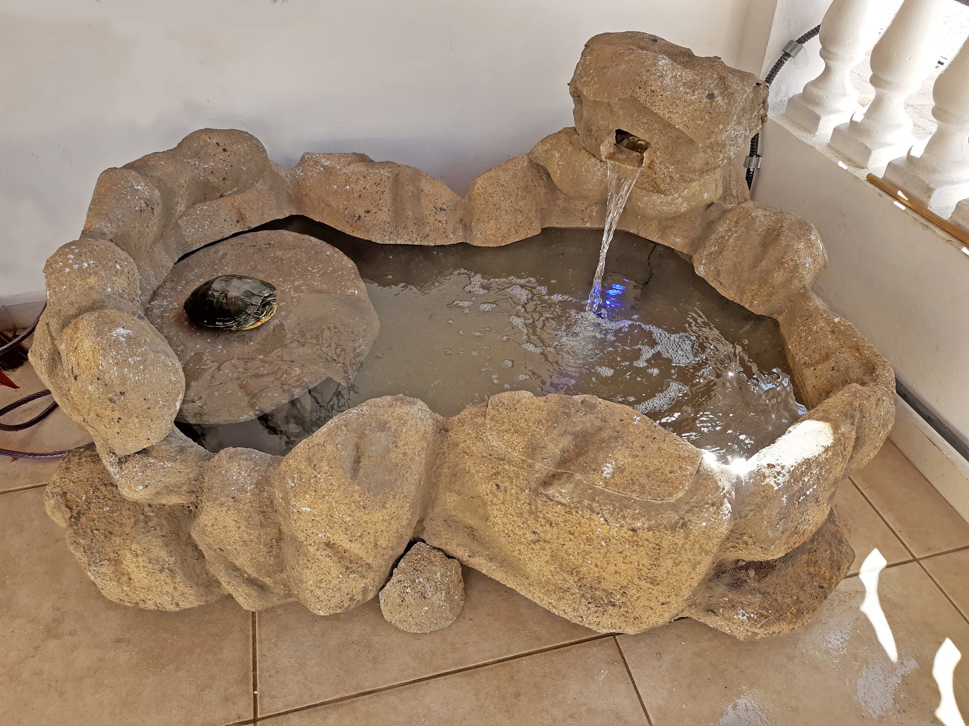 Lago Luz Especial para Tartarugas — detalhe