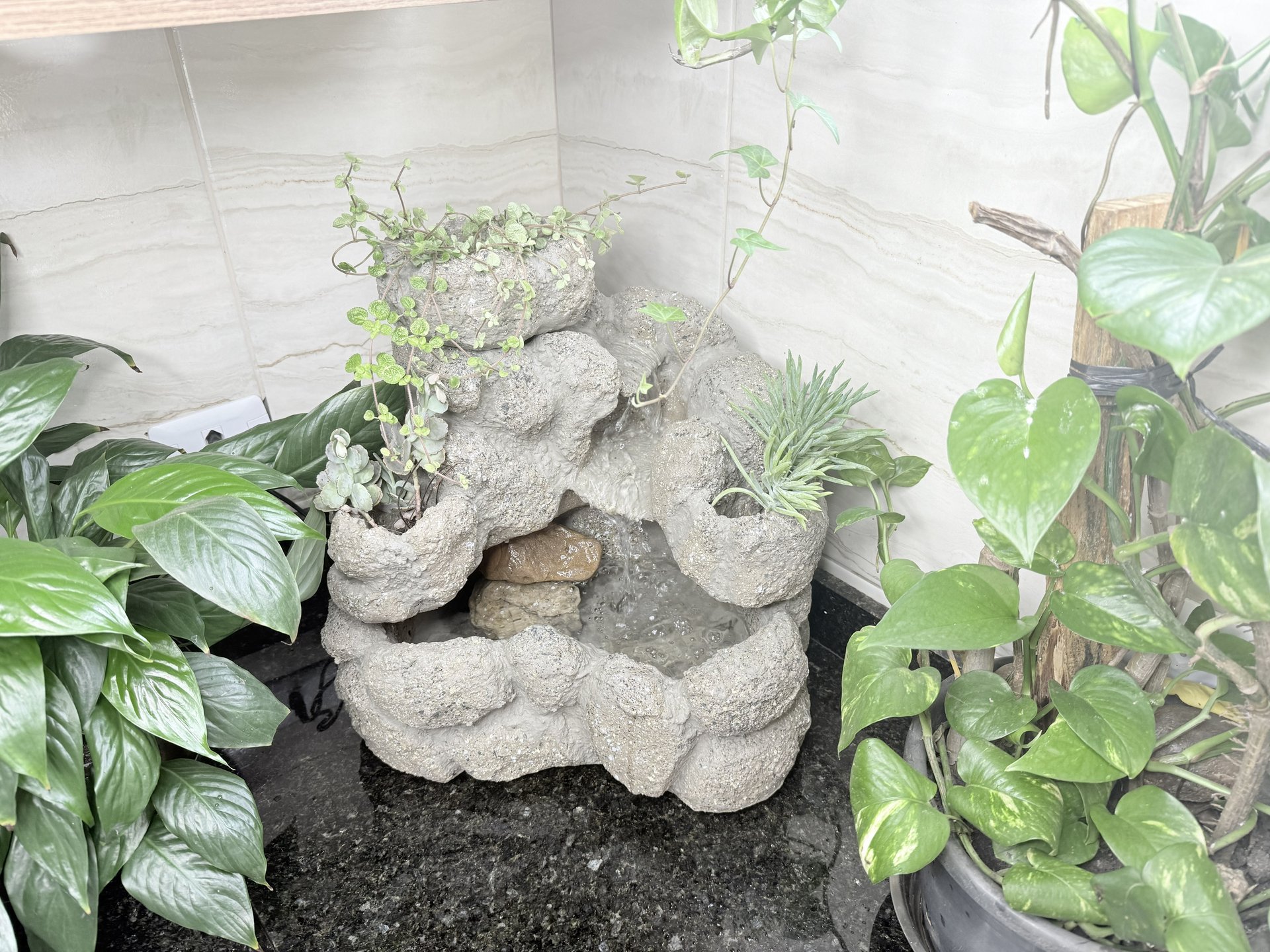 Mini Fonte Lago — detalhe