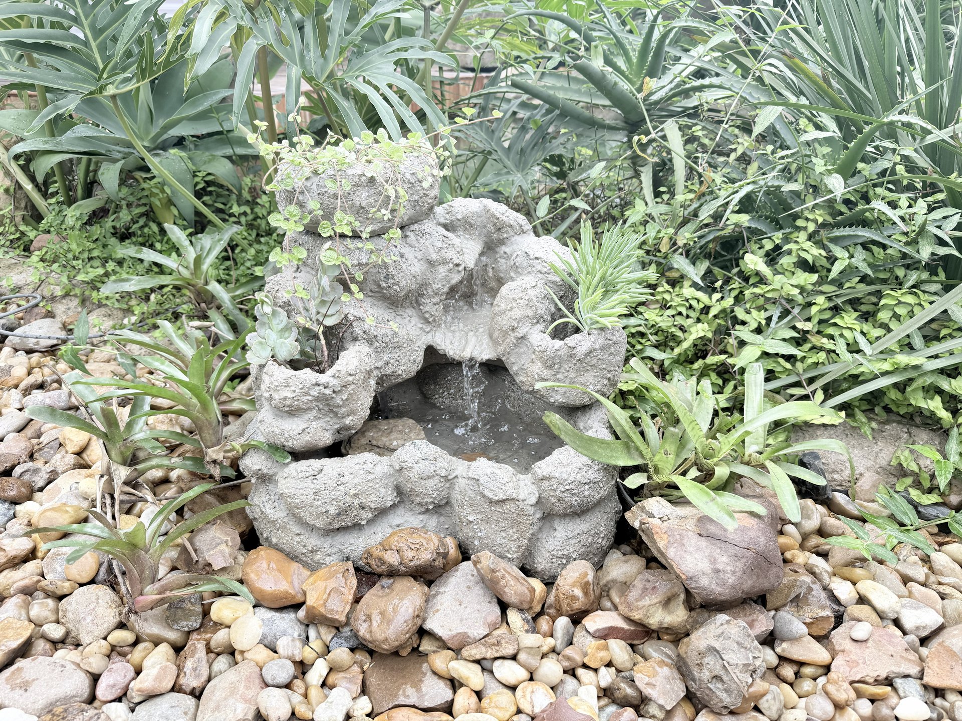 Mini Fonte Lago — detalhe