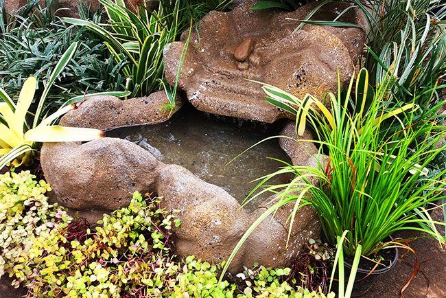 Mini Lago com Corredeira 60x60 — detalhe